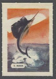 11 Marlin